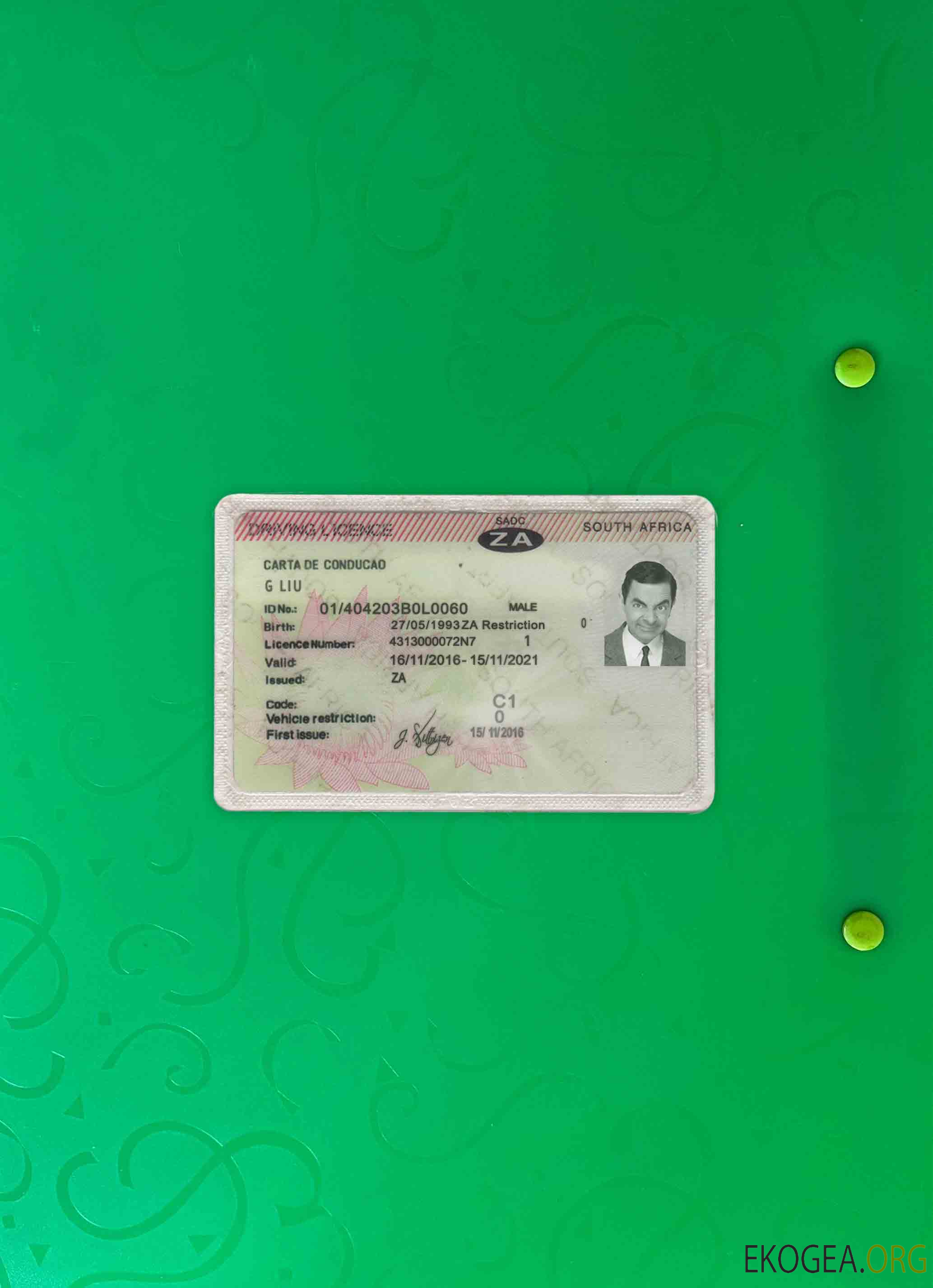 Afrique du Sud DL photolook AVANT